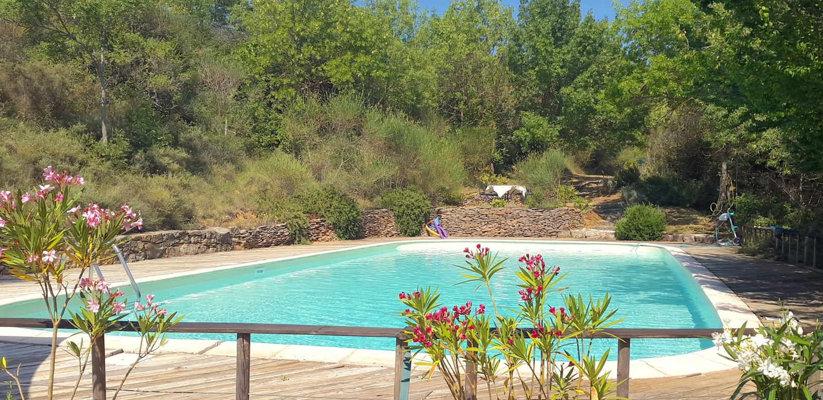 La piscine du Domaine, bordée de lauriers-roses et de murets en pierre sèche