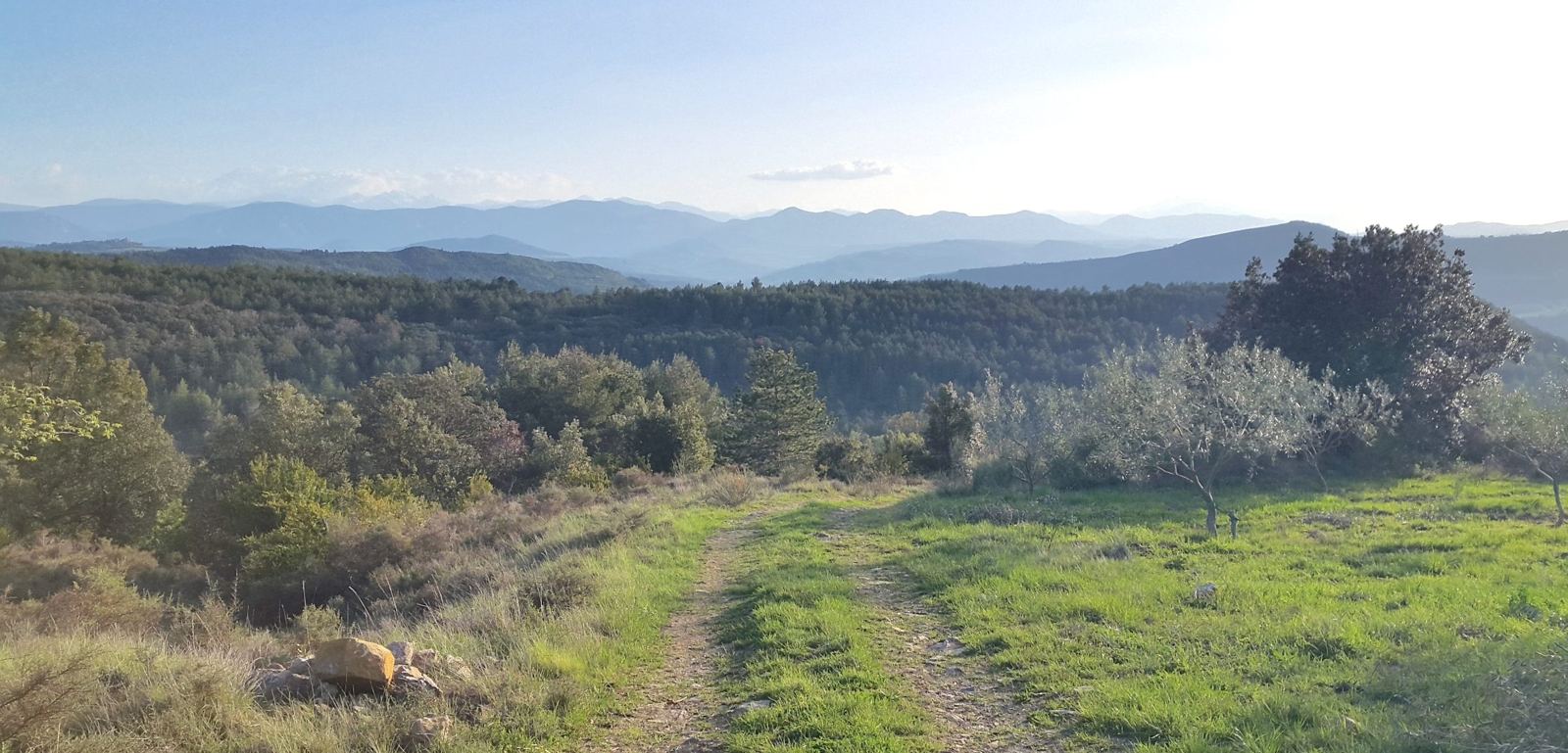 Chemin sur les hauteurs du Domaine, oliviers et forêts face à la chaîne des Pyrénées