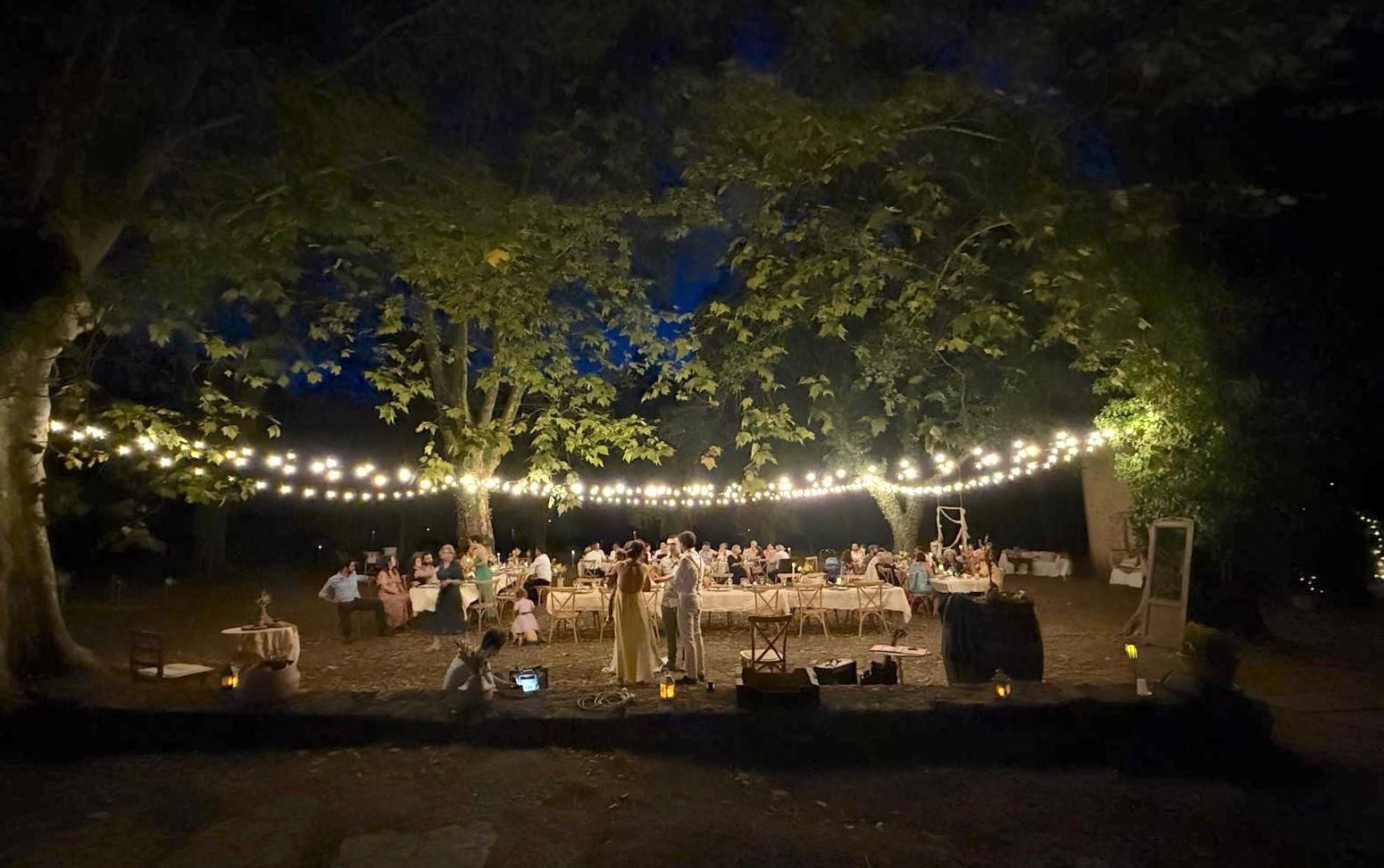 Dîner de nuit dans le parc sous les guirlandes et les platanes
