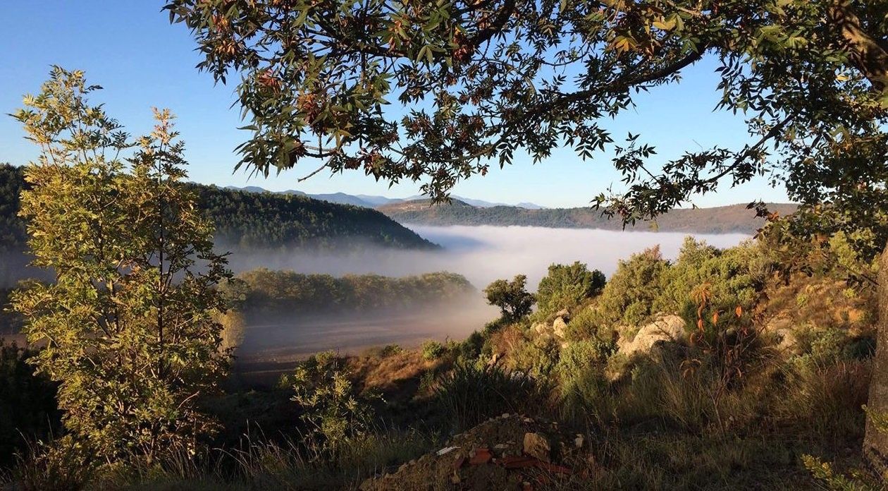 Aurore d'octobre sur le vallon : mer de brume, collines boisées et Pyrénées au loin